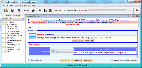 sample IDE screen shot showing display sentence entry form as compared to echo command in creating a bat file